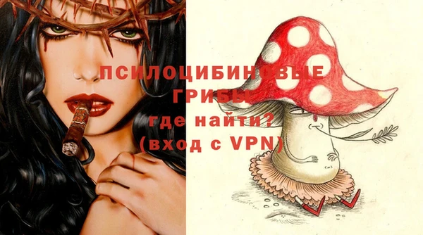 тгк Сатка