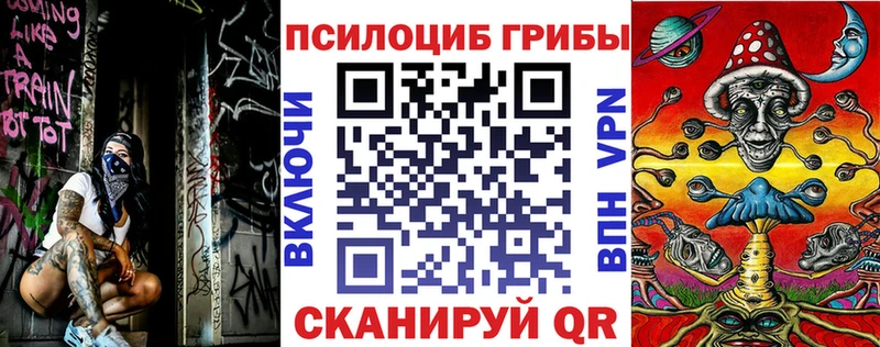 где купить   Родники  маркетплейс состав  Галлюциногенные грибы мухоморы  KRAKEN ССЫЛКА 